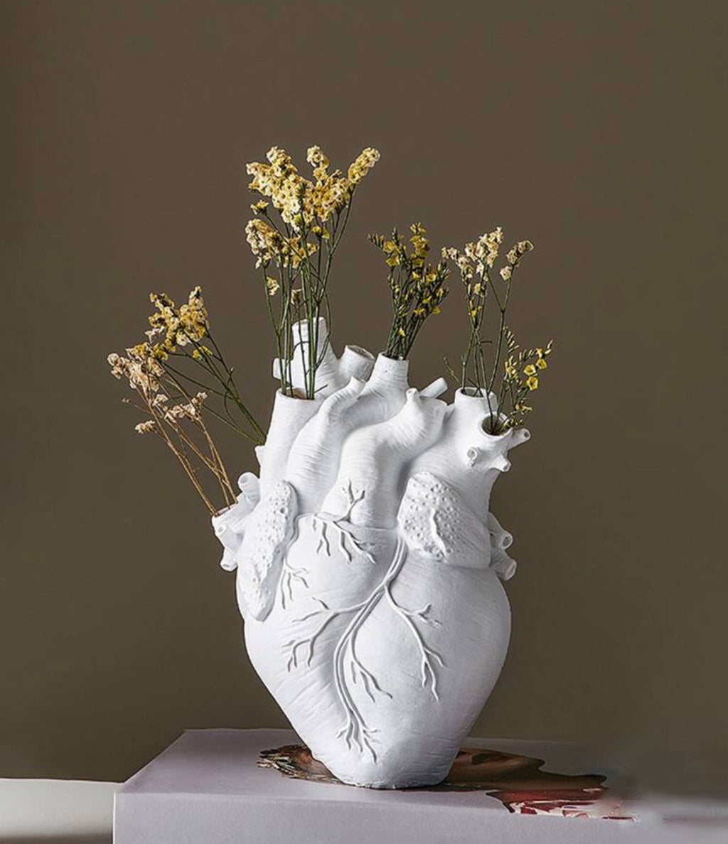 Vena Cava vase
